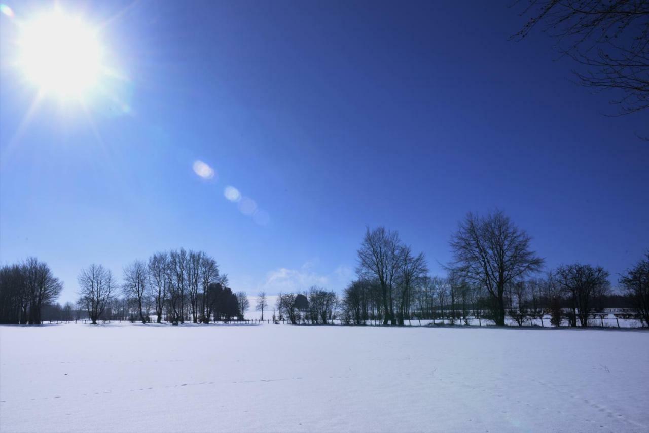 Belle Vue Villa Malmedy Eksteriør billede